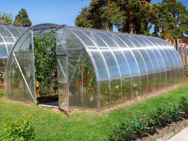 Как использовать туманообразователь для теплиц?