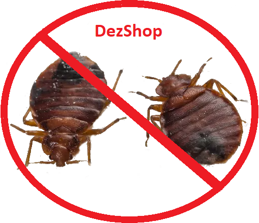 Уничтожение клопов