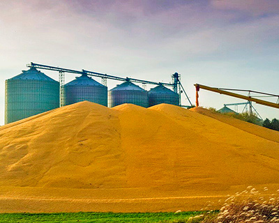 Обработка холодным туманом зерна для защиты от вредителей 