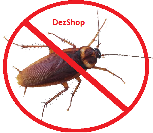 Уничтожение тараканов