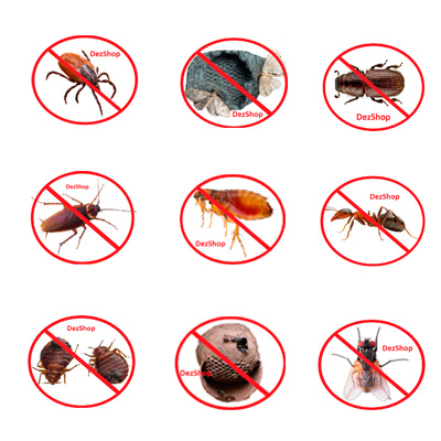 Услуги по борьбе с вредителями