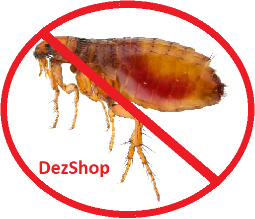 Уничтожение блох