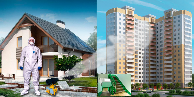 Дезинфекция дома